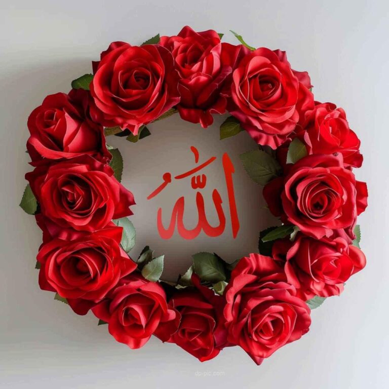 Allah Name Dp , Allah Name written in circle shape rose flowers, beautiful islamic dp by dp pic ()