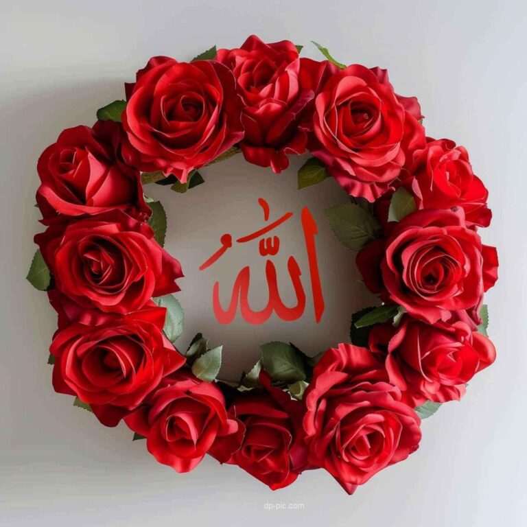 Allah Whatsapp Dp,Allah name written in ring of red roses,Beautiful Islamic Dp,New Islamic Pic For Dp,Perfect Islamic Dp IN 2025