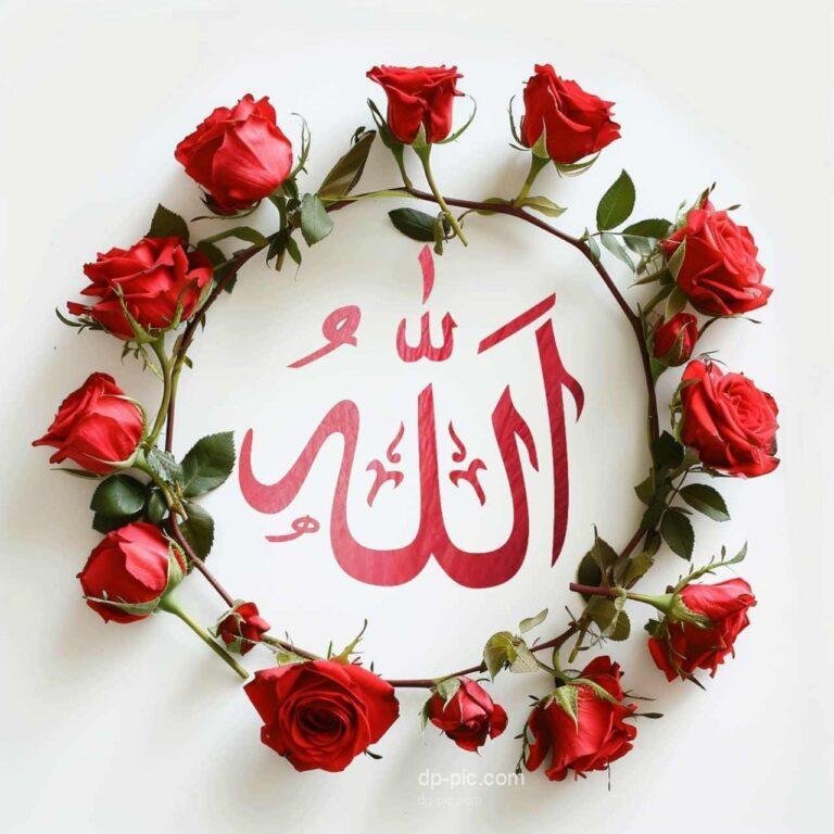 Allah Whatsapp Dp ,Written Name Of Allah in Ring Of Roses,beautiful islamic dp ,Perfect Islamic Dp in2025 , Allah Pic For Dp