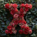 letter x written on boquet of red roses letters dp by dp pic