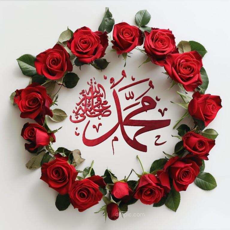 Muhammad S.A.W Name Written in Roses, Islamic Dps by DP Pic,Muhammad Nmae Dp ()