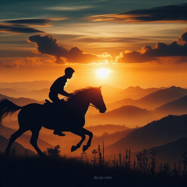 a handsome boy ridding horse in attitude at sunset, attitude dp, boyz attitude dp, boys dp, dp pic, pic of attitude ()