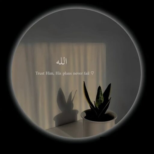 Allah Name best islamic dp image
