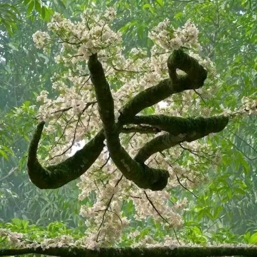 Muhammad S.A..W new dp pic for social media , islamic dp by dp pic ()