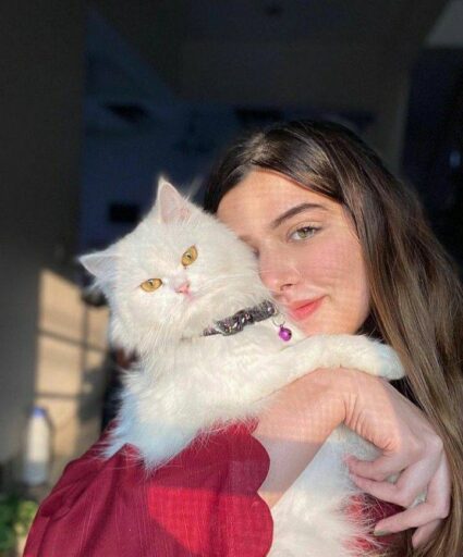beautiful girl with her beautiful white cat best photo image