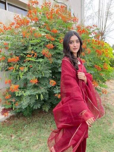girl in pink dress new flower lover girl dp